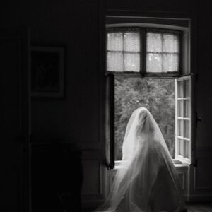 Gallery Photo 45