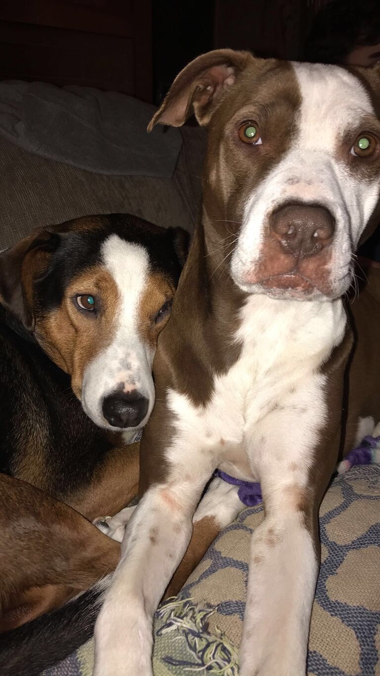 Jaxie got his sister Sammie :)