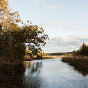 Gallery Photo 24