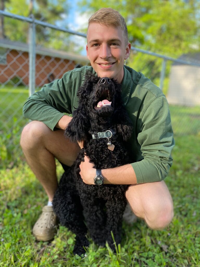 A happy growing puppy