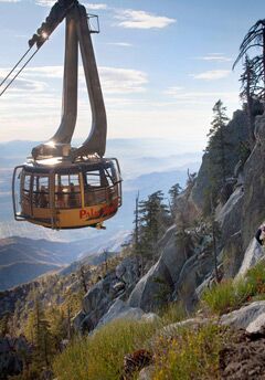 Palm Springs Aerial Tram | Reception Venues - The Knot