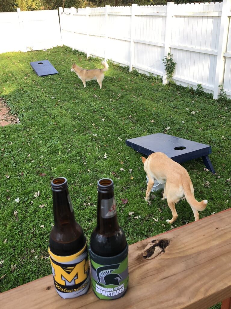 Fall days playing cornhole with the puppers on Bud Ave