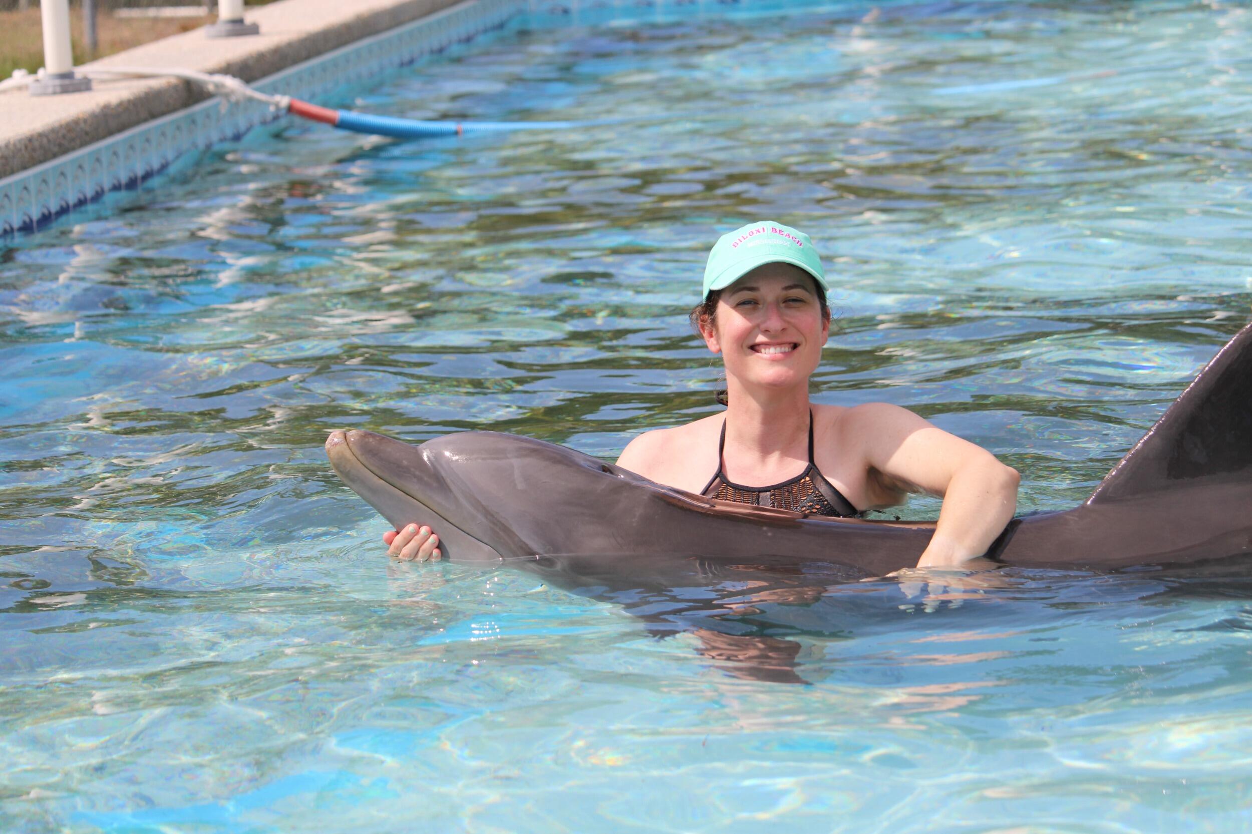 Dolphin Swim