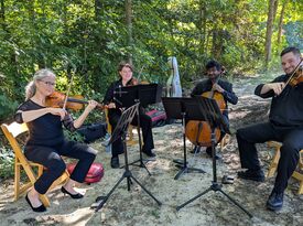 Follow the River - String Quartet - Henrico, VA - Hero Gallery 3
