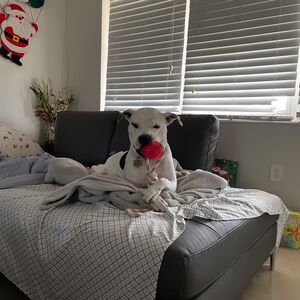 Gallery Photo 13
