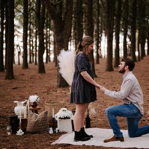Gallery Photo 27