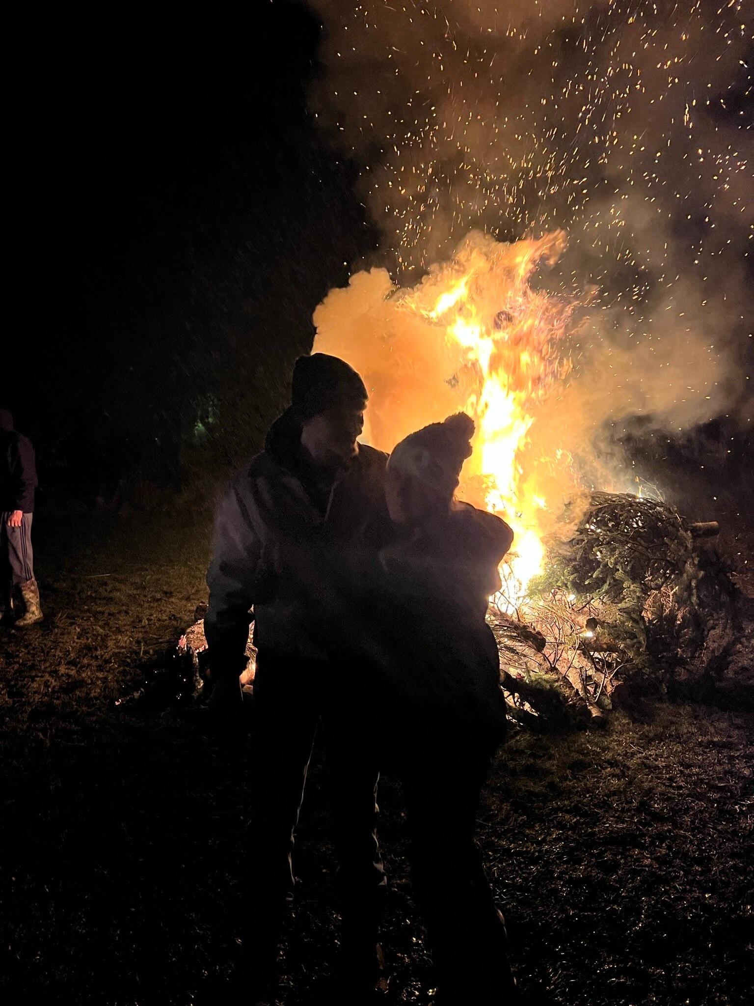 Tree burn!