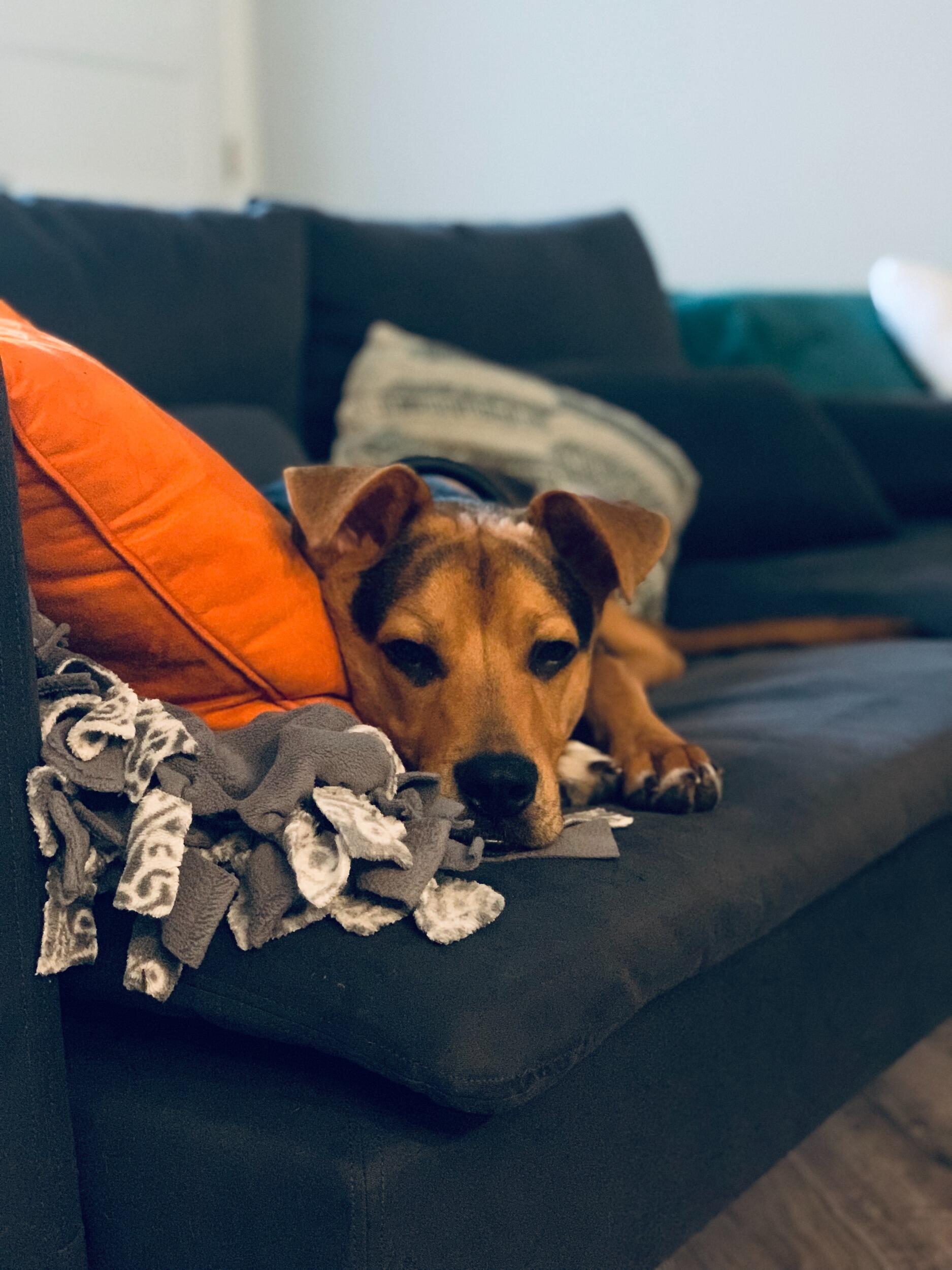 We moved into our first apartment as a family.