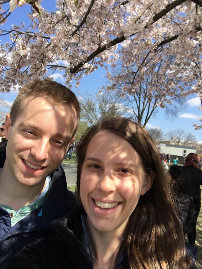 Enjoying the Cherry Blossom Festival on the National Mall