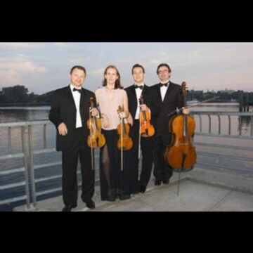 Harmonia Strings - String Quartet - Brooklyn, NY - Hero Main