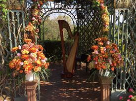 City Winds Harp Duo and Piano - Harpist - Lincoln Park, NJ - Hero Gallery 2