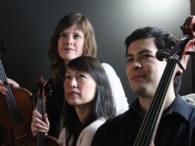 Agate String Trio - Chamber Music Trio - New York City, NY - Hero Gallery 2