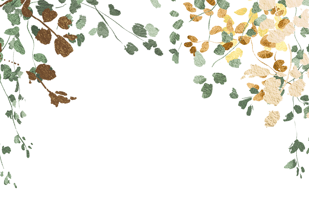 Top Theme Image