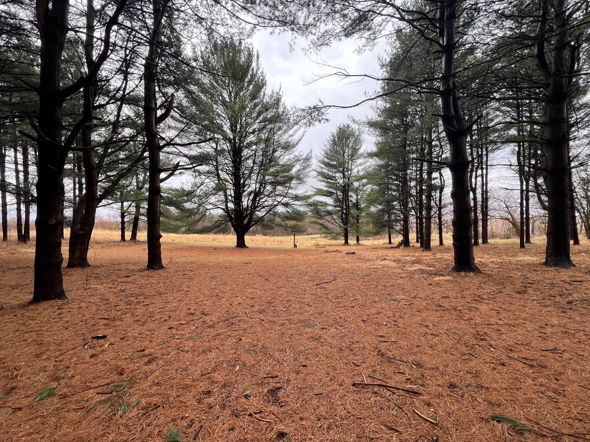 Lauren & Austin find the most perfect wedding venue! 