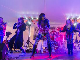 VERGE - Have a Blast and Rock With Us! - Rock Band - Thorp, WI - Hero Gallery 2