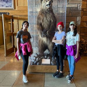 Gallery Photo 19
