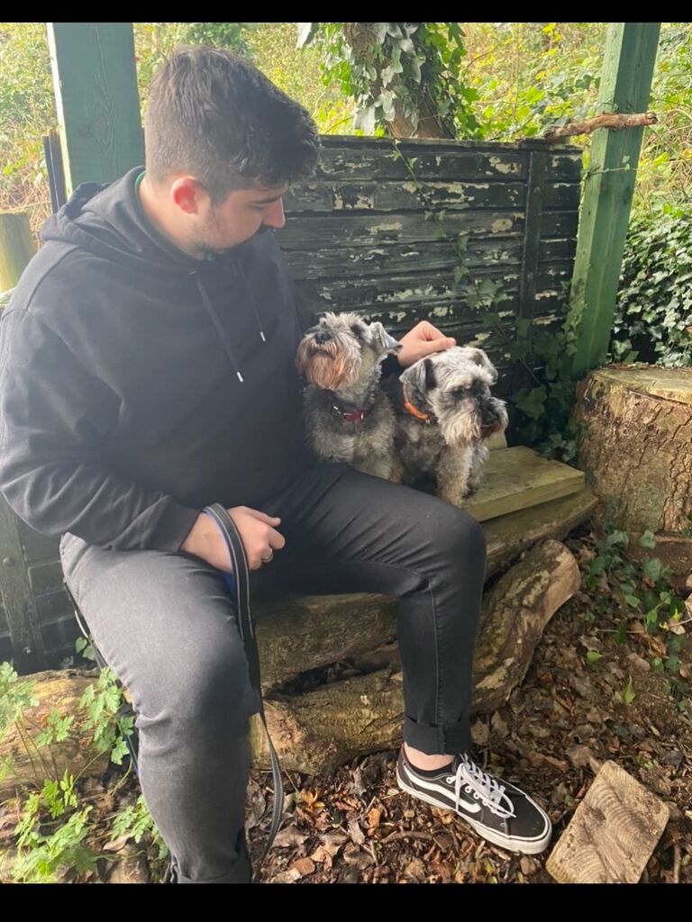 Constantly fighting the pups for his attention !
