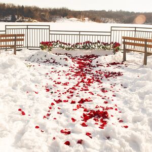 Gallery Photo 4