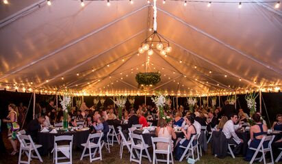 Sunken Gardens Top St Petersburg Fl Wedding Venue