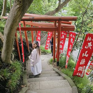 Gallery Photo 10