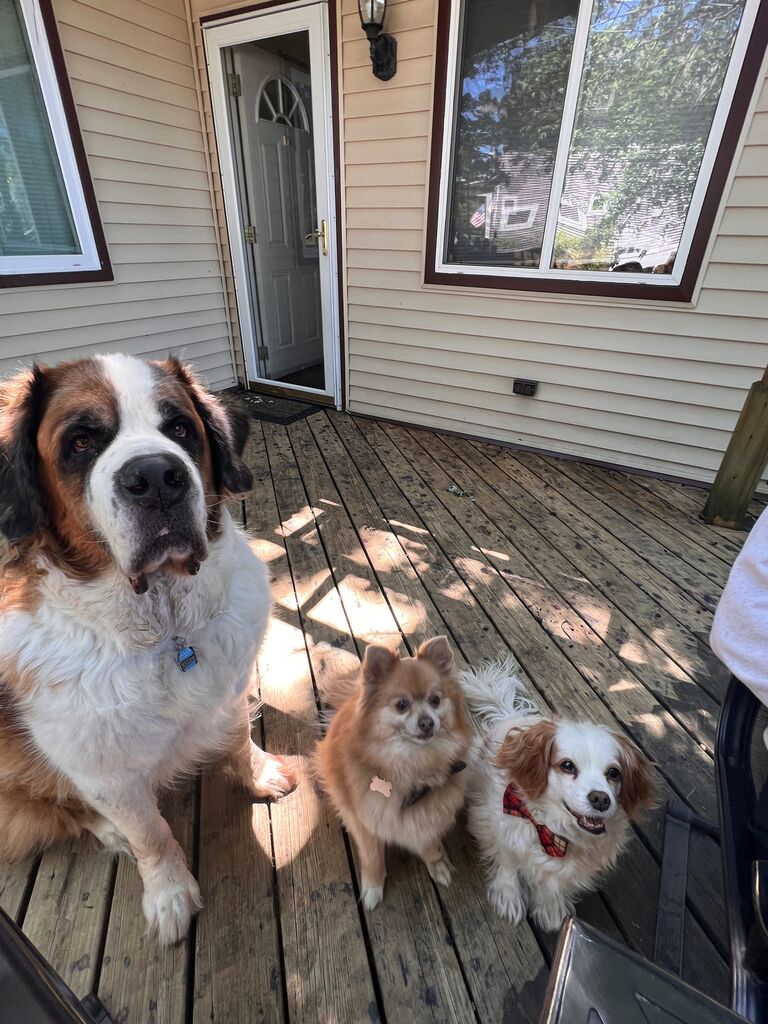 Introduced Kyzer to Miggy & Prince. While Miggy could care less, Prince found his dominance by bossing Kyzer around. Instant three amigos.
