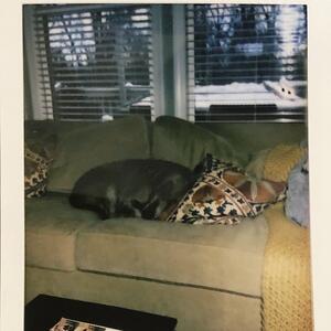 Gallery Photo 10