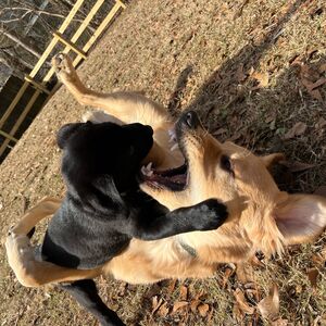 Gallery Photo 24