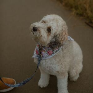 Gallery Photo 34