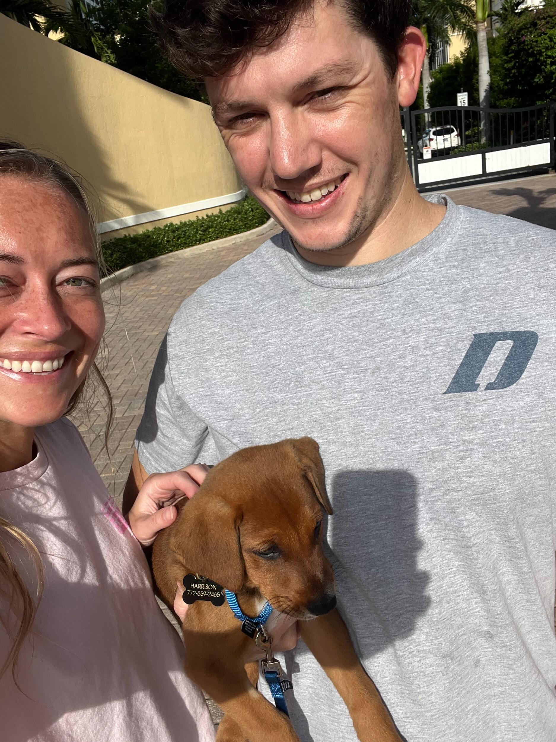 Meet Harrison - the new addition to the family!