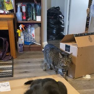 Gallery Photo 30