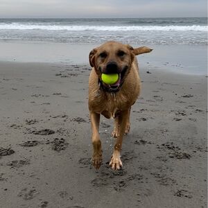 Gallery Photo 139