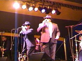 The Bluz Brothers - Blues Brothers Tribute Band - Chicago, IL - Hero Gallery 2