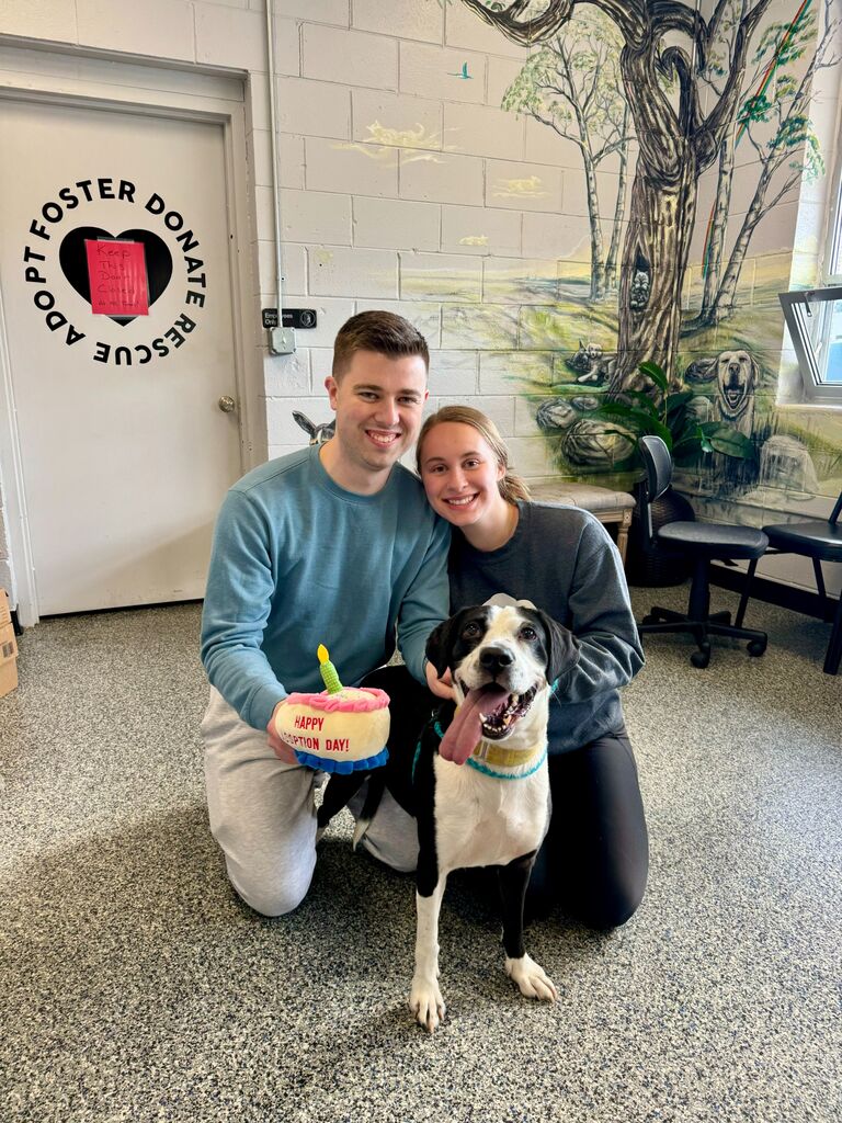 Cranston, RI
a furry friend is added to the household. Alaina and David adopted Lizzy from the same shelter that David's family dog was from.