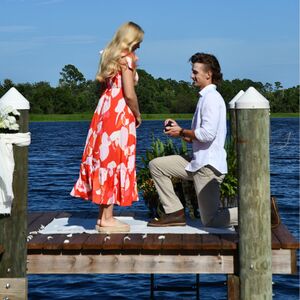 Gallery Photo 8