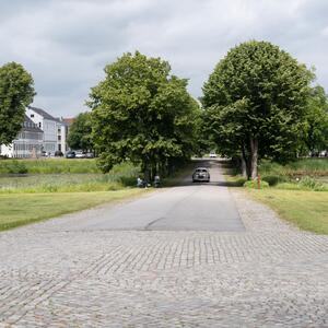 Gallery Photo 16
