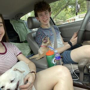 Gallery Photo 23
