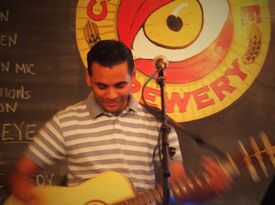 Vik Raolji Music - Singer Guitarist - Coatesville, PA - Hero Gallery 3