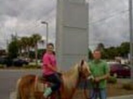 Lowcountry Party Animals, LLC - Pony Rides - Charleston, SC - Hero Gallery 3