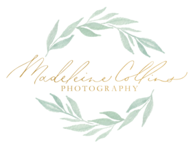 Vendor Logo