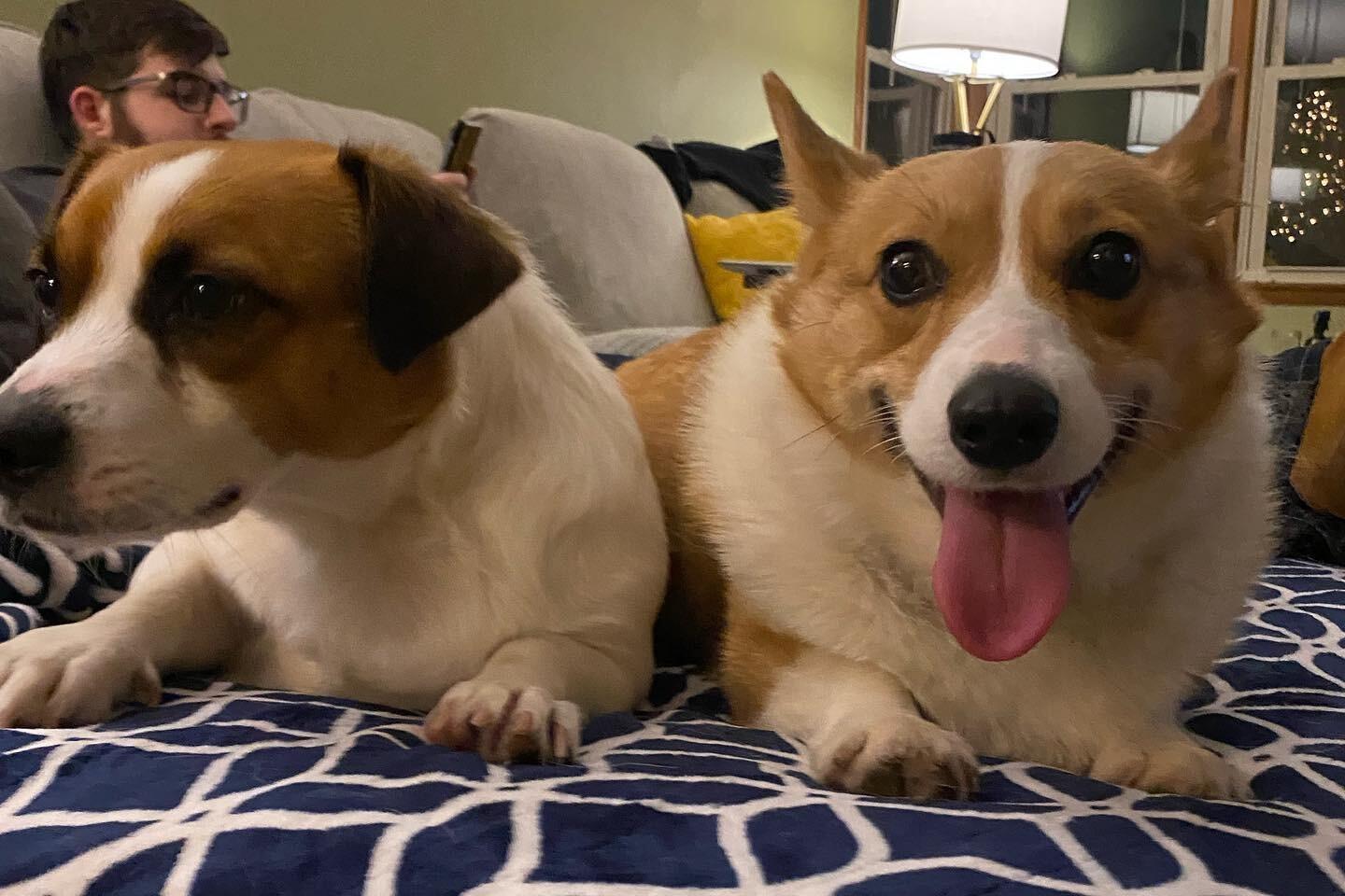 We brought home Fran, the newest member of our household!