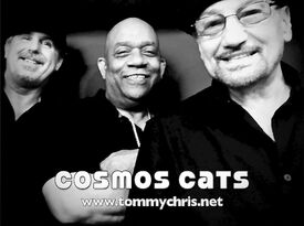 Tommy Chris / Cosmos Cats - Cover Band - Cover Band - Pittsburgh, PA - Hero Gallery 4
