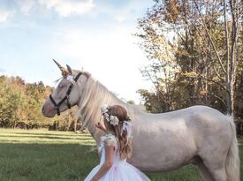 Pony Parties, LLC - Animal For A Party - North East, PA - Hero Gallery 2