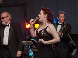 Tim Marin Orchestra - Big Band - Lombard, IL - Hero Gallery 2