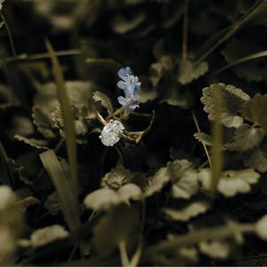 Gallery Photo 20