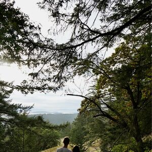 Gallery Photo 21