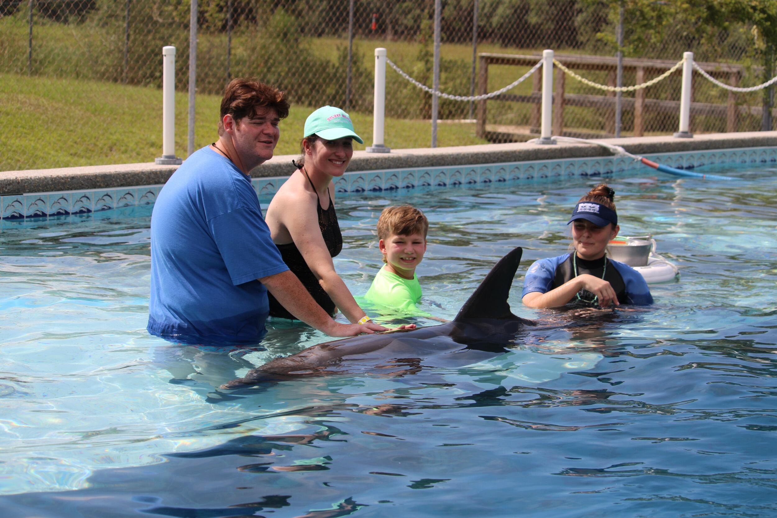 Dolphin Swim