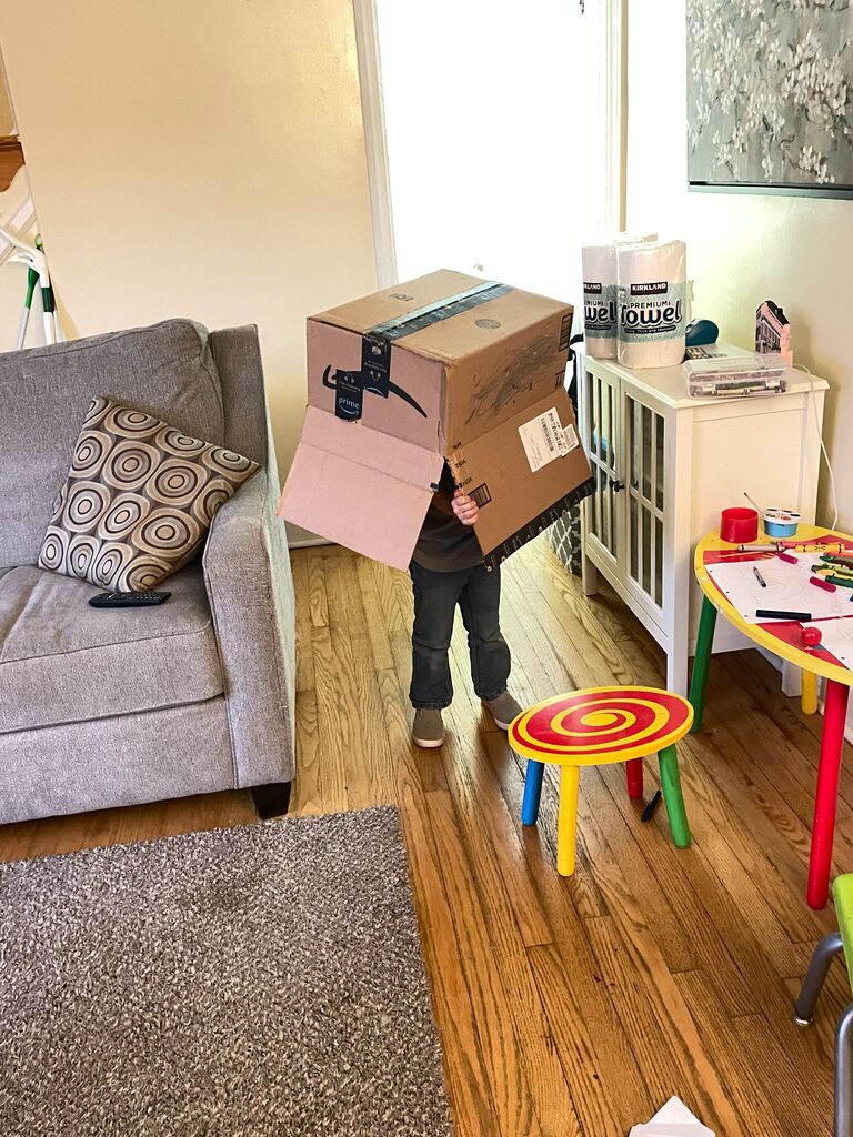 We had put an offer in on a new house and started the moving process. This meant great fun for Felix (BOXES everywhere!)