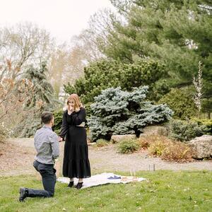Gallery Photo 9