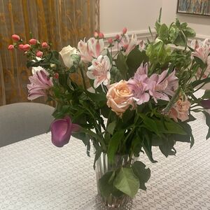 Gallery Photo 15