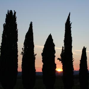Gallery Photo 22